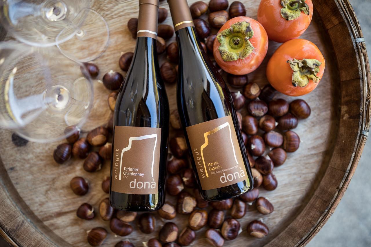 Weingut Dona Villa อัปเปียโน ซุลลา สตราดา เดล วีโน ภายนอก รูปภาพ
