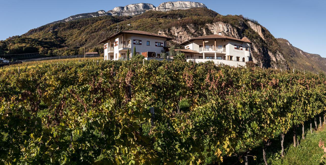 Weingut Dona Villa อัปเปียโน ซุลลา สตราดา เดล วีโน ภายนอก รูปภาพ