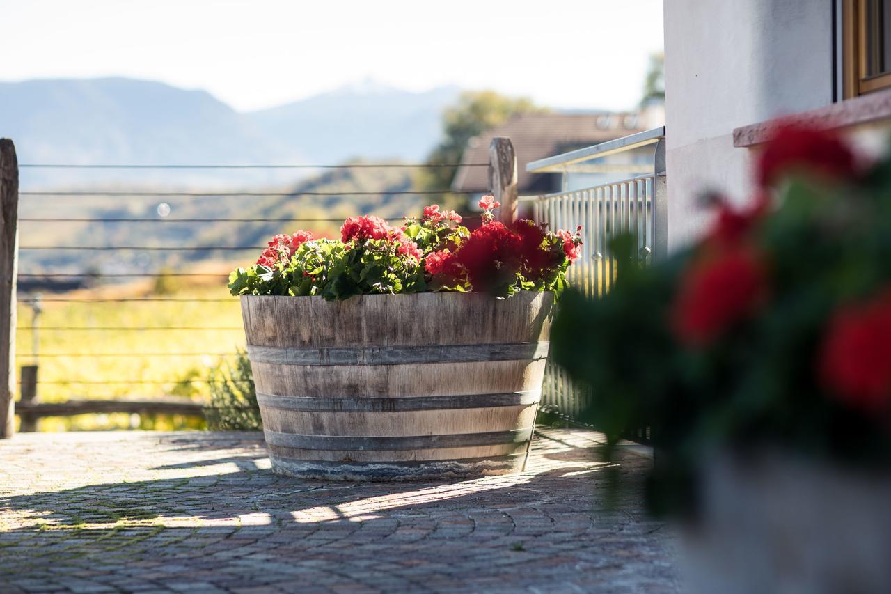 Weingut Dona Villa อัปเปียโน ซุลลา สตราดา เดล วีโน ภายนอก รูปภาพ